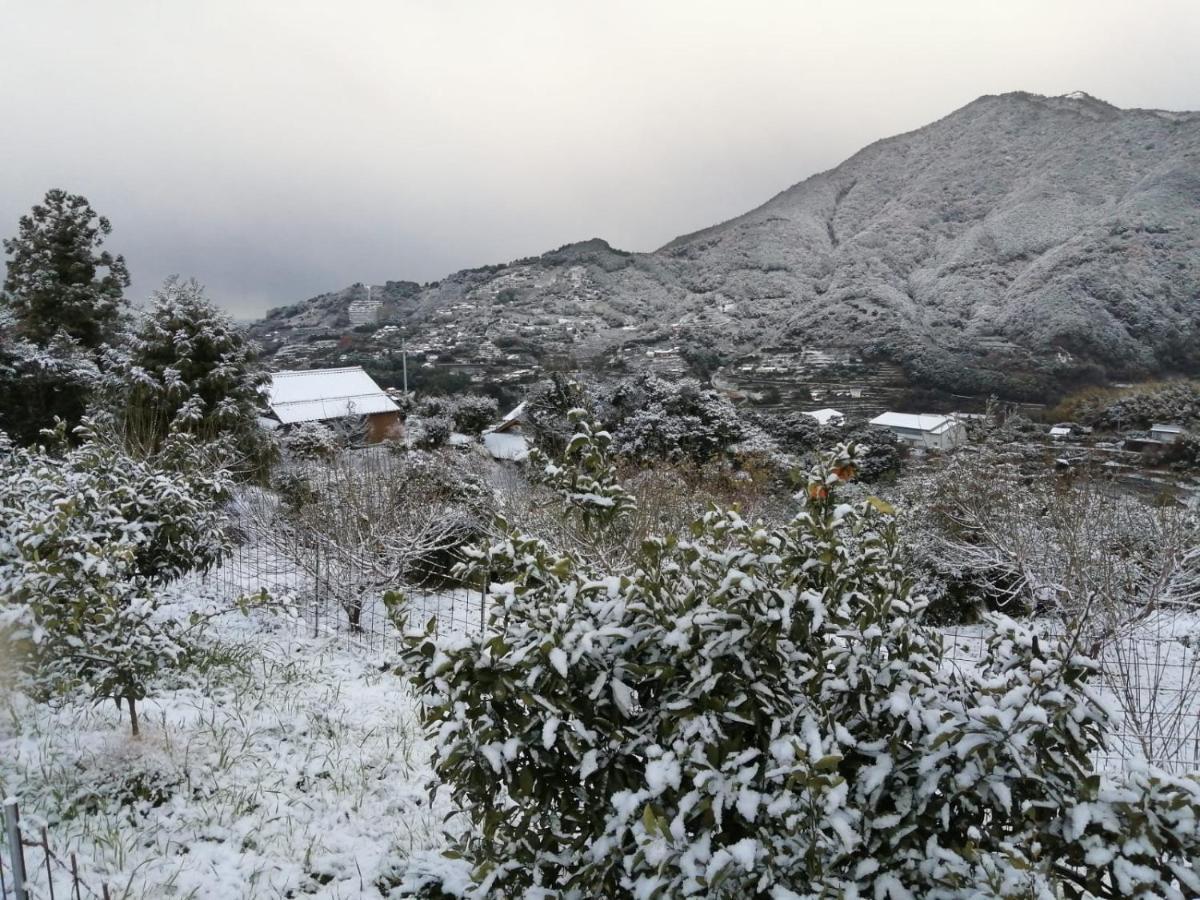 Kumano Kodo Nagano Guesthouse Tanabe Exteriér fotografie